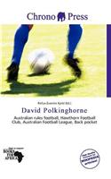 David Polkinghorne: (English)