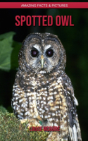 Spotted Owl