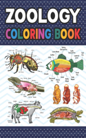 Zoology Coloring Book