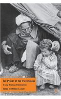 Plight of the Palestinians