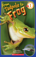 From Tadpole to Frog (Scholastic Reader, Level 1)