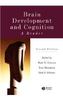 Brain Development and Cognition