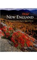 Wild New England