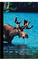 River Moose