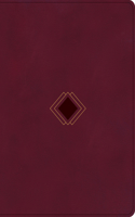 CSB Day-By-Day Chronological Bible, Burgundy Leathertouch