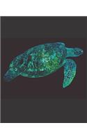 TURTLE Composition Notebook