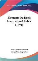 Elements De Droit International Public (1891)