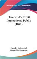 Elements De Droit International Public (1891)