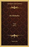 Des Rhubarbes