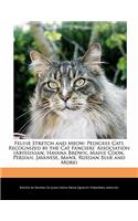 Feline Stretch and Meow: Pedigree Cats Recognized by the Cat Fanciers' Association (Abyssinian, Havana Brown, Maine Coon, Persian, Javanese, Manx, Russian Blue and More)