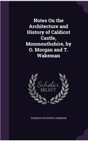 Notes On the Architecture and History of Caldicot Castle, Monmouthshire, by O. Morgan and T. Wakeman