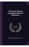 The Lower Silurian Lamellibranchiata of Minnesota