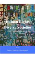 Human Rights and Diverse Societies: Challenges and Possibilities