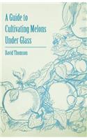 Guide to Cultivating Melons Under Glass