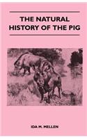 Natural History of the Pig