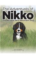 Adventures of NIKKO