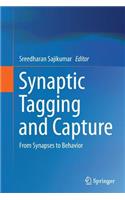 Synaptic Tagging and Capture