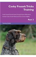 Cesky Fousek Tricks Training Cesky Fousek Tricks & Games Training Tracker & Workbook. Includes