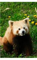 Mind Blowing Cute MOE Red Panda 150 Page lined journal