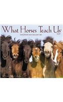 What Horses Teach Us 2019 Box Calendar