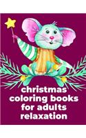 Christmas Coloring Books For Adults Relaxation: Coloring Pages, cute Pictures for toddlers Children Kids Kindergarten and adults