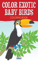 Color Exotic Baby Birds Coloring Book