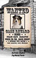 Australian Shepherd Dog Wanted Poster