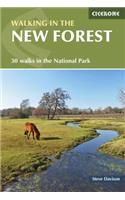 Walking in the New Forest: 30 Walks in the New Forest National Park