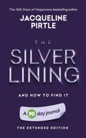 Silver Lining - And How To Find It