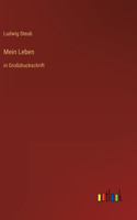 Mein Leben: in Großdruckschrift