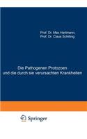 Pathogenen Protozoen Und Die Durch Sie Verursachten Krankheiten