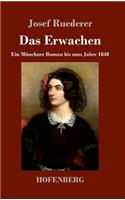Erwachen: Ein Münchner Roman bis zum Jahre 1848