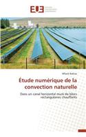 Étude Numérique de la Convection Naturelle