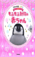Fluffy Baby Animals
