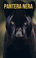 Pantera nera