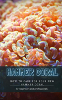 Hammer Coral