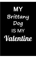 My Brittany Dog Is My Valentine