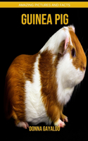 Guinea pig: Amazing Pictures and Facts