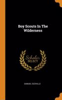 Boy Scouts In The Wilderness
