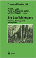 Big-Leaf Mahogany