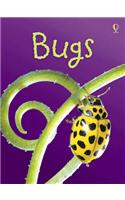 Bugs