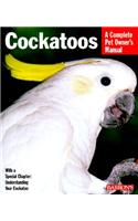 Cockatoo