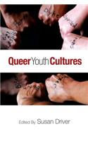 Queer Youth Cultures