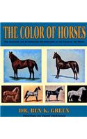 The Color of Horses