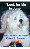 Look for Me in June: Finding Your Pet After Rebirth