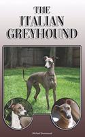 The Italian Greyhound