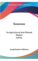 Tennessee: Its Agricultural And Mineral Wealth (1876)