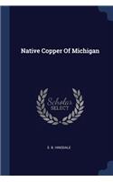 Native Copper Of Michigan