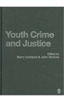 Youth Crime and Justice