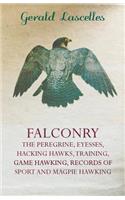 Falconry - The Peregrine, Eyesses, Hacking Hawks, Training, Game Hawking, Records of Sport and Magpie Hawking